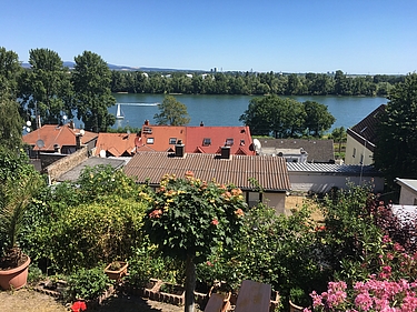 Der Rhein bei Weisenau Der Rhein bei Weisenau